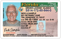 florida check my license